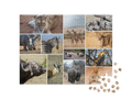Custom Photo Collage Jigsaw Puzzle (12 Photos, Landscape)