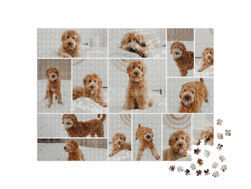Custom Photo Collage Jigsaw Puzzle (14 Photos, Landscape)