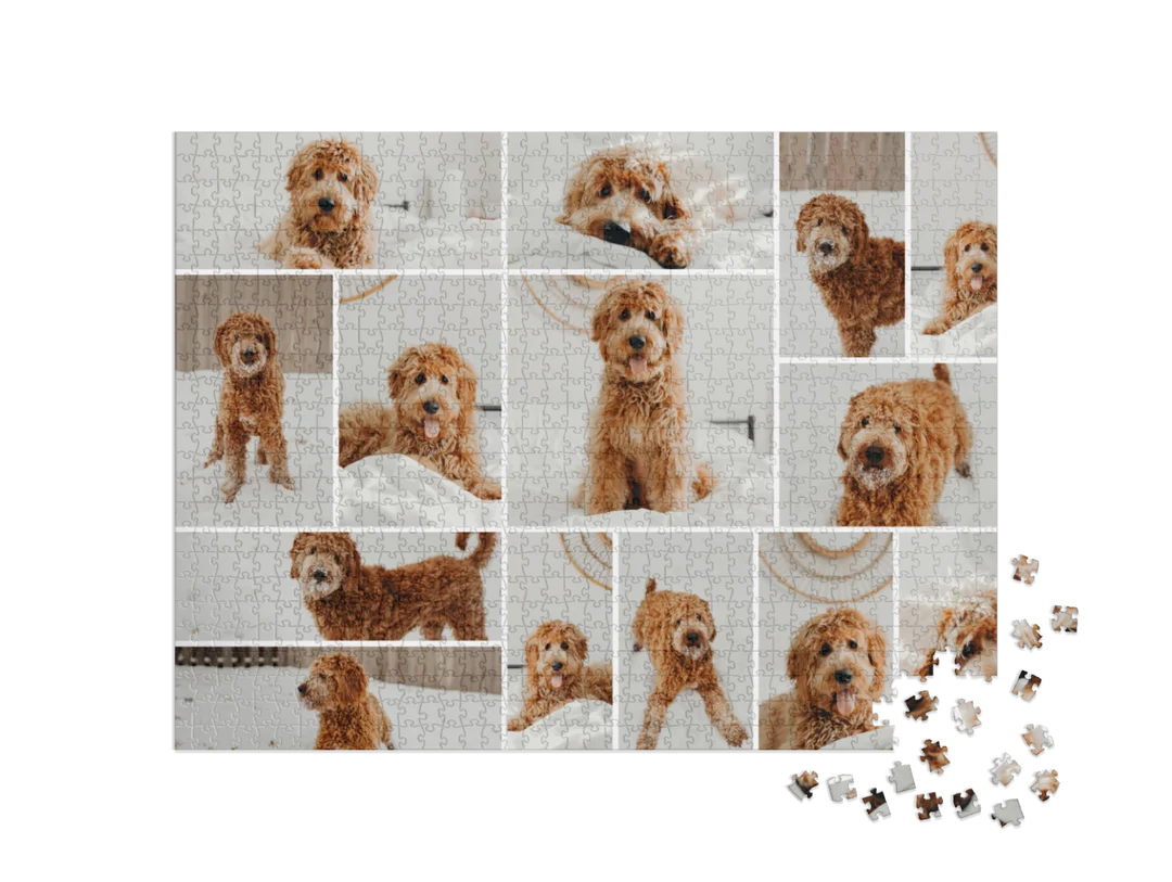 Custom Photo Collage Jigsaw Puzzle (14 Photos, Landscape)