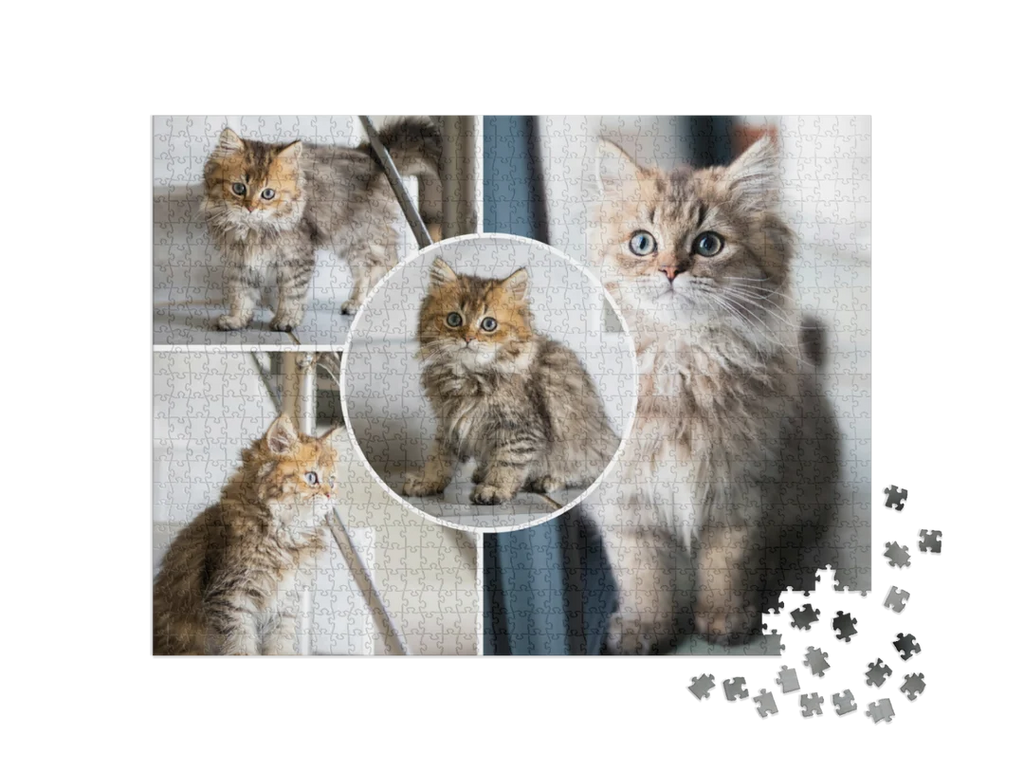 Custom Photo Collage Jigsaw Puzzle with Circle Inset (4 Photos, Landscape)