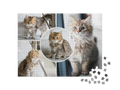 Custom Photo Collage Jigsaw Puzzle with Circle Inset (4 Photos, Landscape)