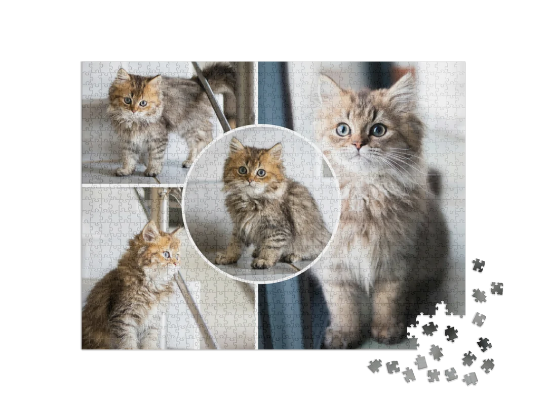Custom Photo Collage Jigsaw Puzzle with Circle Inset (4 Photos, Landscape)